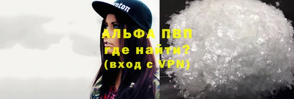 spice Аркадак
