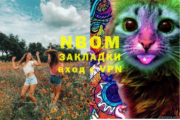 spice Аркадак