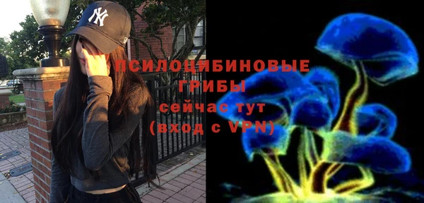 spice Аркадак