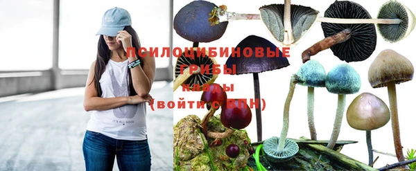 хмурый Армянск