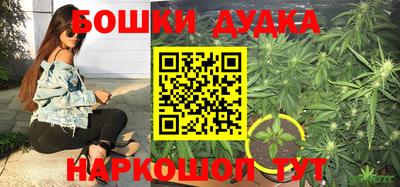 шишки Канаш