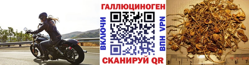 Псилоцибиновые грибы ЛСД  закладка  Лабинск 