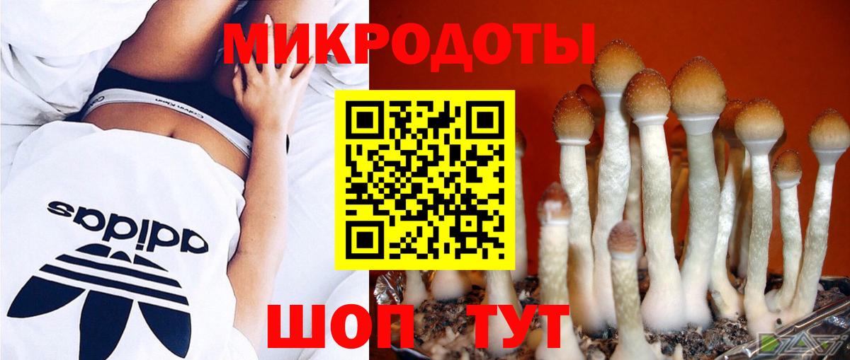 COCAIN Лабинск